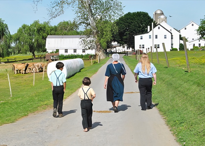 Amish Experience In-Person Farm Tour in Bird-In-Hand PA.