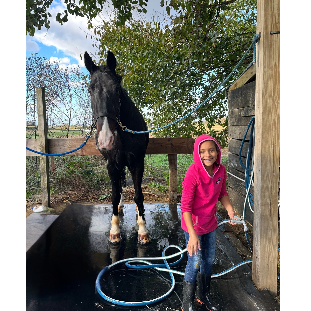 Horse Wash at Plain & Fancy Farm Homestead Days
